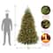 7.5ft. Pre-Lit Dunhill® Fir Artificial Christmas Tree, Clear Lights